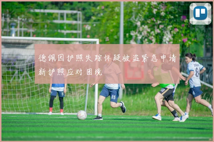 德佩因护照失踪怀疑被盗紧急申请新护照应对困境