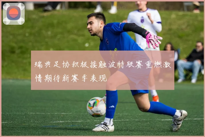瑞典足协积极接触波特联赛重燃激情期待新赛季表现