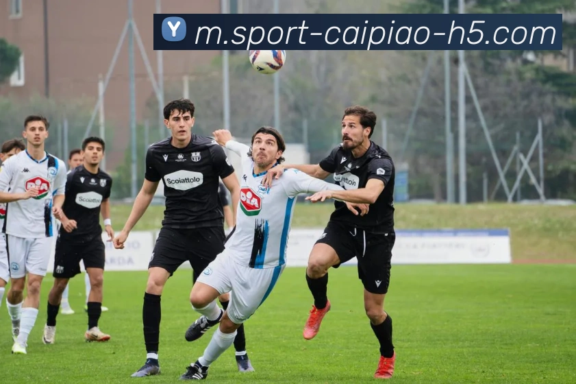 大发彩票服务体系